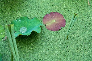 传《战地2042》首周销量420万 DICE多名资深开发者离开